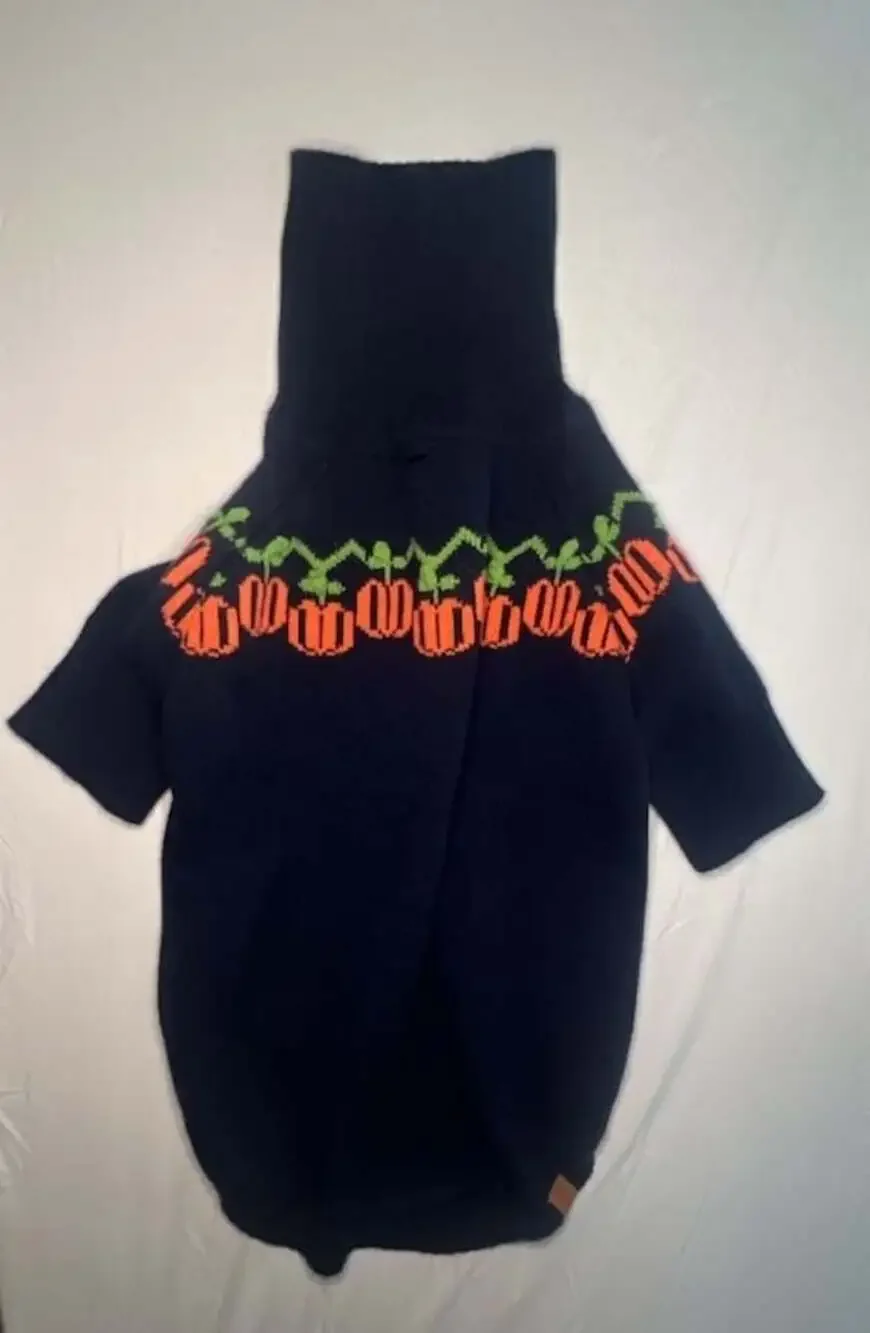 The Foggy Dog Black Dog Sweater with Orange Pumpkin and Green Vine Detail